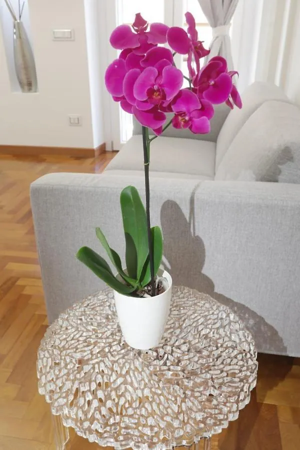 La Roma Di Cecilia Apartment 0*, Rome Italy